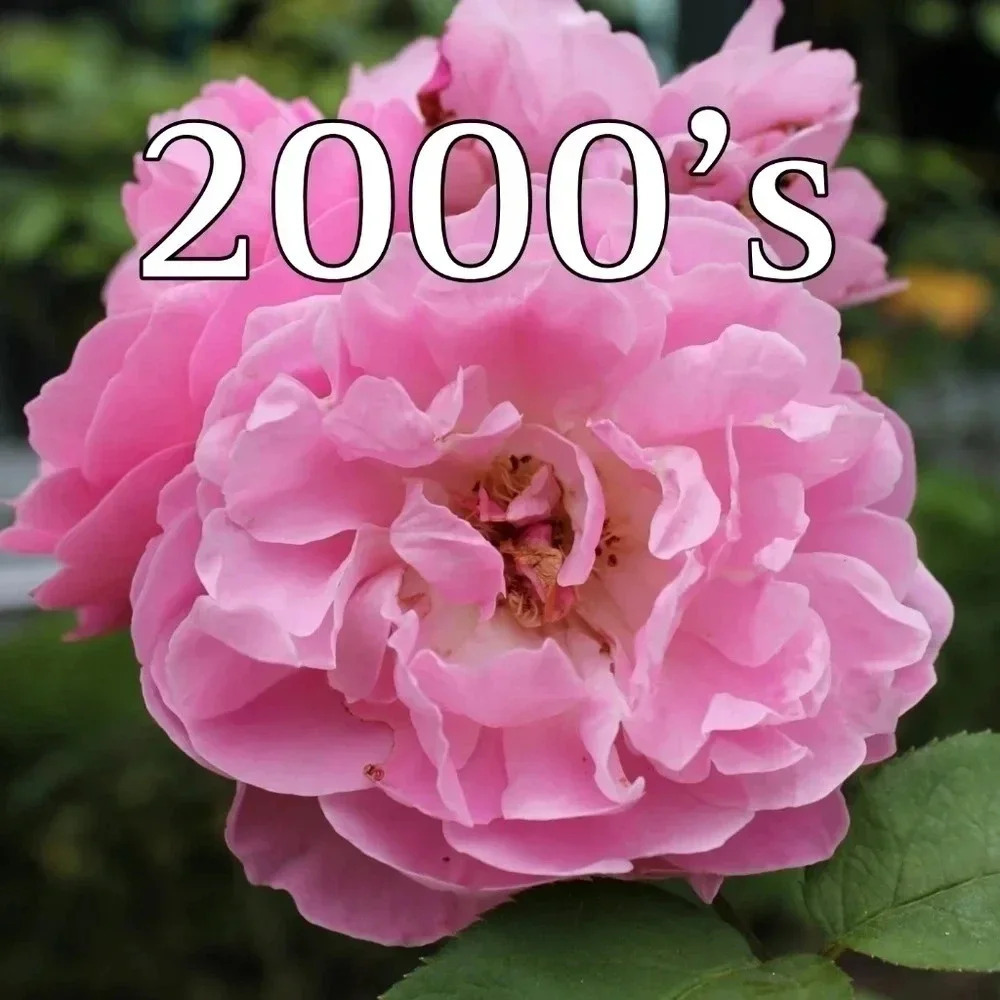 We have Y2K